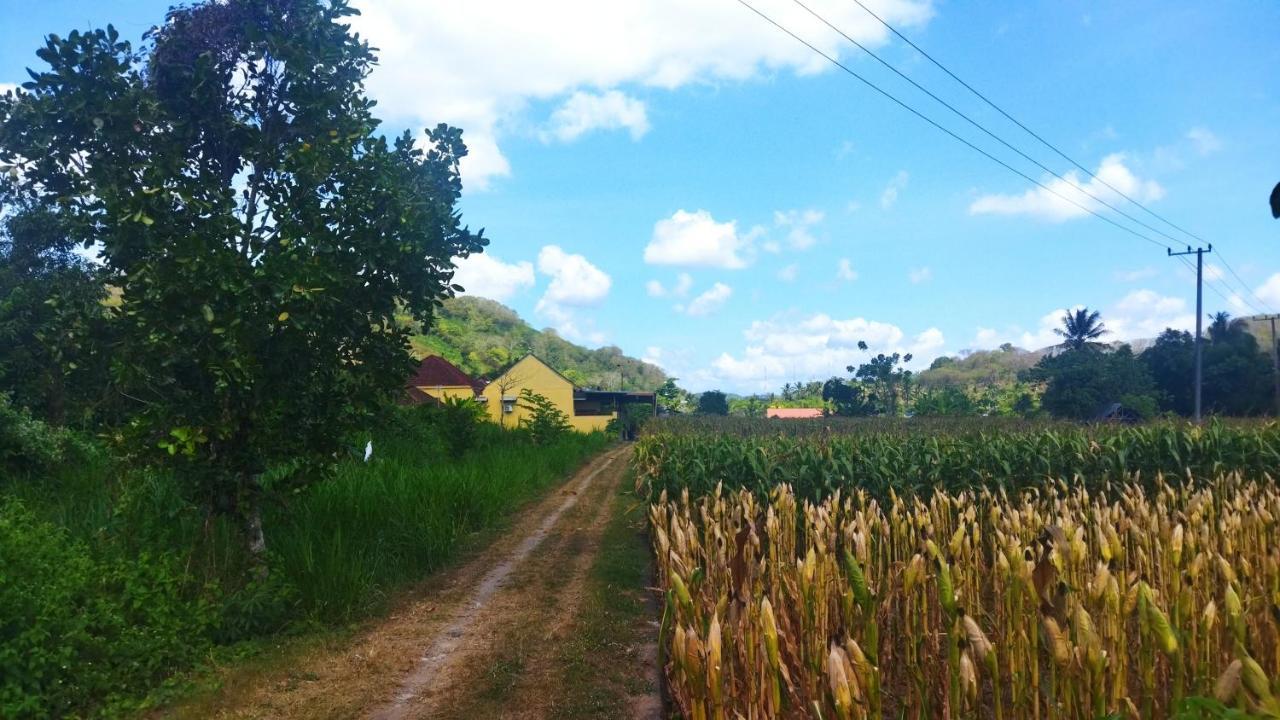Bougenville Homestay Lembar  Exterior foto